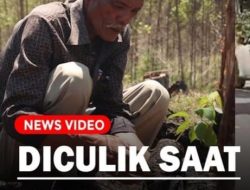 PT TPL Milik Sukanto Tanoto /Perusahaan Asing Singapura dengan konsesi 167.000 Hektar Telah Mengkriminalisasi seorang Pria Tua yang mengolah tanah warisan leluhurnya, yang dianggap milik Kehutanan / Negara RI