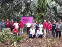 Sita Eksekusi Tanah Bangunan Seluas 292 m dan Kebun Sawit di Kalimantan Barat Seluas 4946 m Milik Terpidana Jono Pinem