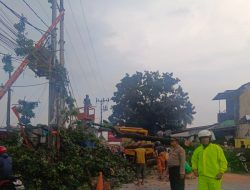 Piket Patroli Polsek Sukmajaya Segera Bertindak di Lokasi Kecelakaan Pohon Tumbang