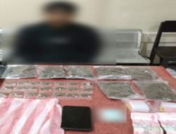 Polisi Bekuk Pengedar Ganja,28 Paket Diamankan