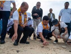 Pelepasliaran Tukik Penyu Sisik di Pulau Bidadari: “Seribu Tukik Sejuta Harapan”