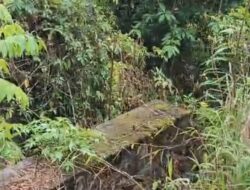 Warga Ajibata Menjerit: Jembatan Vital Terputus, Pemerintah Toba Diminta Turun Tangan