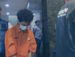Pemerhati Digital Nilai Tepat Polisi Tangkap Hacker @bjorkanesiaaa, Ini Penjelasannya