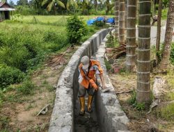 Proyek dinas pertanian kabupaten Padang pariaman Abaikan UU KIP