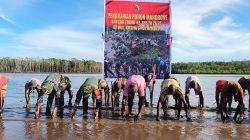 Bersatu Dengan Alam, Satgas TMMD Kodim 1710/Mimika Tanam Ribuan Bibit Mangrove