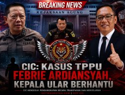 CIC: Kasus TPPU Febrie Ardiansyah, Kepala Ular Berhantu