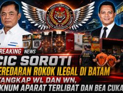 CIC Soroti Peredaran Rokok Ilegal Di Batam Tangkap WL Dan WN, Oknum Aparat Terlibat Dan Bea Cukai