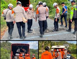 Pasukan Pelopor BKO Polda NTT Bergerak Tangani Dampak Gempa, Layani dan Bantu Warga di Lokasi Pengungsian