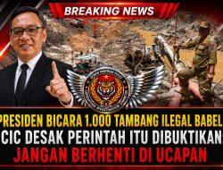 Presiden Bicara 1.000 Tambang Ilegal Babel, CIC Desak Perintah Itu Dibuktikan: Jangan Berhenti di Ucapan