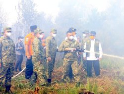 Komandan Lanud Sjamsudin Noor Pimpin Langsung Pemadaman Kebakaran Hutan dan Lahan di Kalimantan Selatan