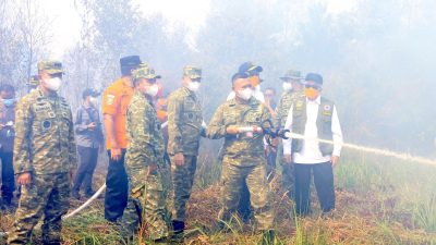 Komandan Lanud Sjamsudin Noor Pimpin Langsung Pemadaman Kebakaran Hutan dan Lahan di Kalimantan Selatan