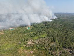 Respons Cepat Karhutla Dekat IKN, TNI Gerakkan Helikopter Caracal untuk Water Bombing