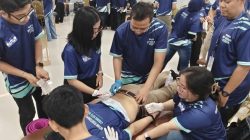 WORKSHOP DRY NEEDLING COURSE – BASIC LEVEL