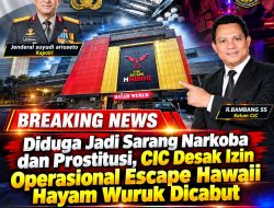 Diduga Jadi Sarang Narkoba dan Prostitusi, CIC Desak Izin Operasional Escape Hawaii Hayam Wuruk Dicabut