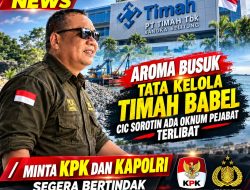 Aroma Busuk Tata Kelolah Timah Babel CIC Sorotin Ada Oknum Pejabat Terlibat, Minta KPK Dan Kapolri Segera Bertindak