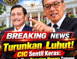 Turunkan Luhut! CIC Sentil Keras: Jangan Jadikan Kerugian Negara Tameng